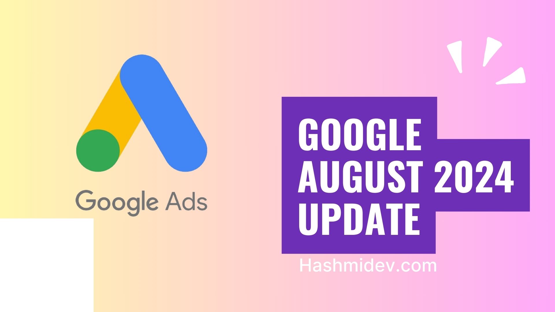 Google ads 2024 update